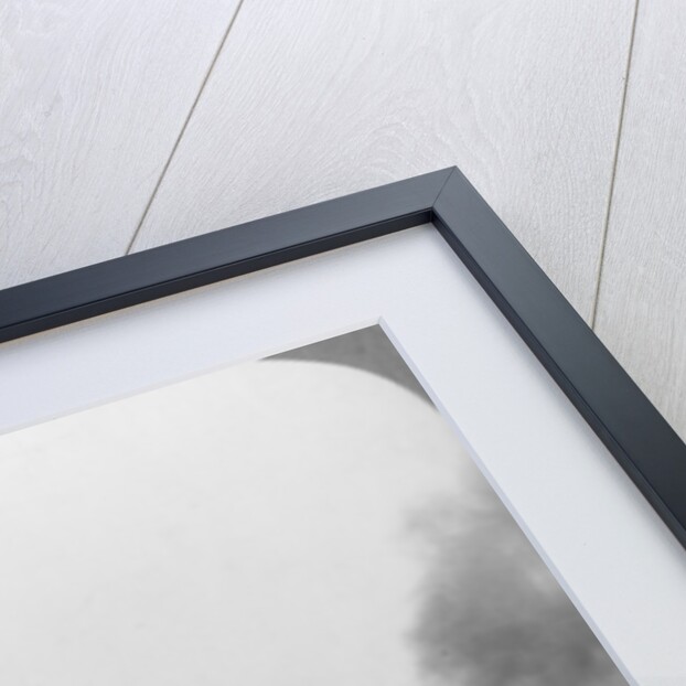 High explosive shells bursting in Mametz Wood, France, World War I by Realistic Travels Publishers