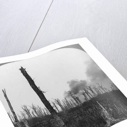 High explosive shells bursting in Mametz Wood, France, World War I by Realistic Travels Publishers