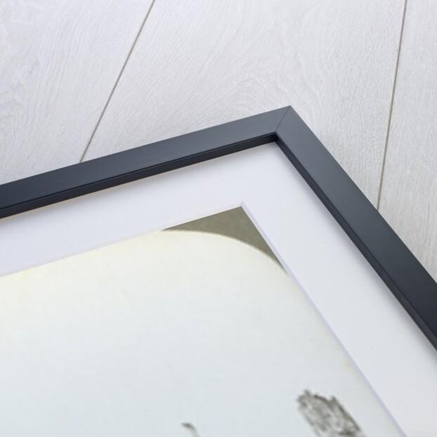 Assault in Trones Wood, Somme, France, World War I by Realistic Travels Publishers