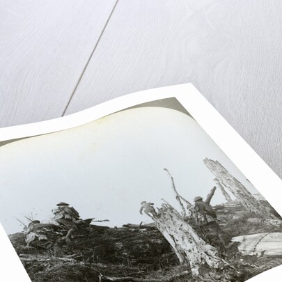 Assault in Trones Wood, Somme, France, World War I by Realistic Travels Publishers