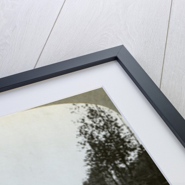 Artillery making their way through mud to Gommecourt, France, World War I by Realistic Travels Publishers