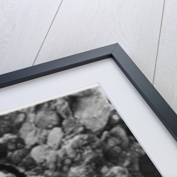 Irene Ware, American film actress by Anonymous