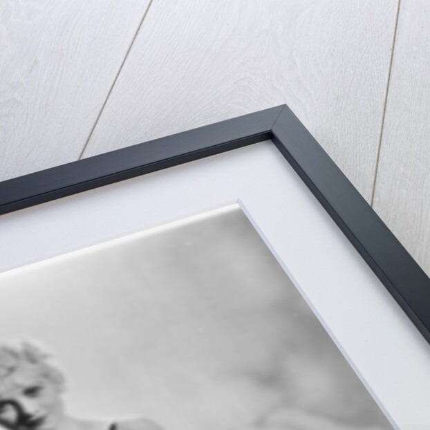 Elaine Ruby by Anonymous