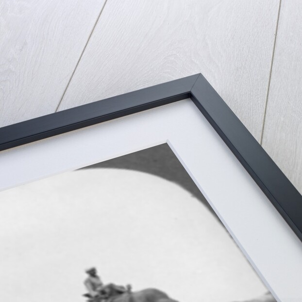 Elephants working in a lumber yard, Rangoon, Burma by Stereo Travel Co