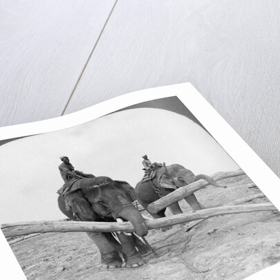Elephants working in a lumber yard, Rangoon, Burma by Stereo Travel Co