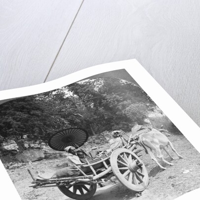 Family journeying through the jungle near Mingun, Burma by Stereo Travel Co