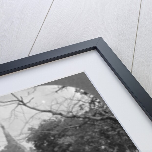 Pagoda Road to the Shwedagon Pagoda, Rangoon, Burma by Stereo Travel Co