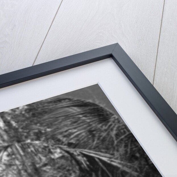 Schoolboys of the American Baptist Mission, Rangoon, Burma by Stereo Travel Co