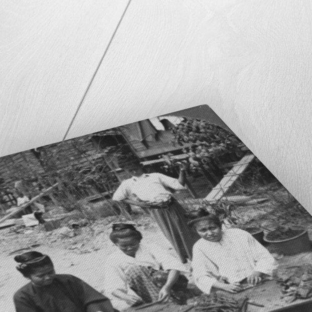 Making the huge cigars smoked by women, Burma by Stereo Travel Co
