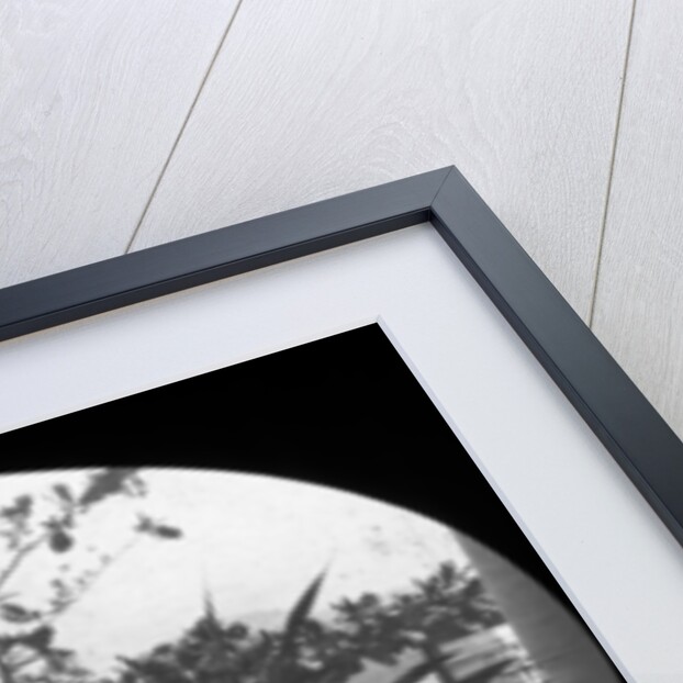 Guaruja, Sao Paulo, Brazil by Anonymous