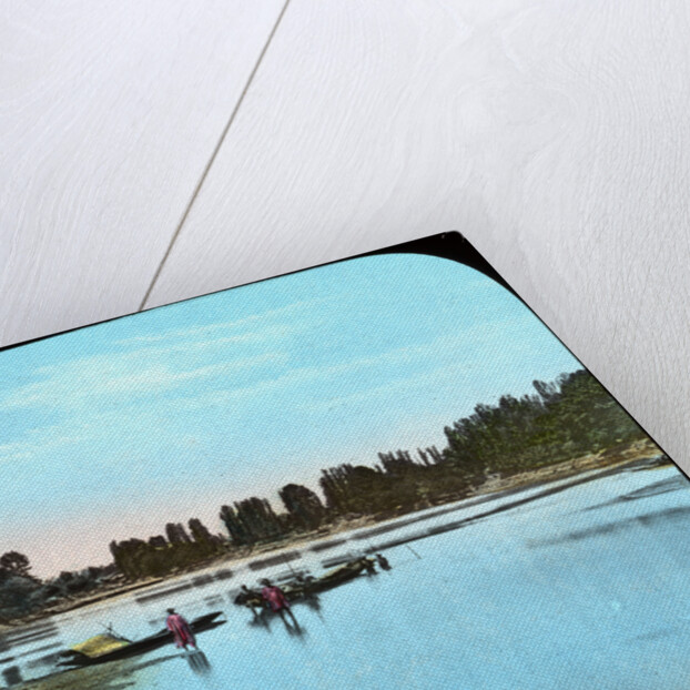 Looking down the Jhelum from the island, India by Anonymous