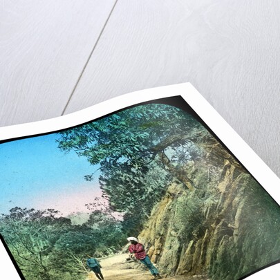 Scene on a road, Murree, India by Anonymous