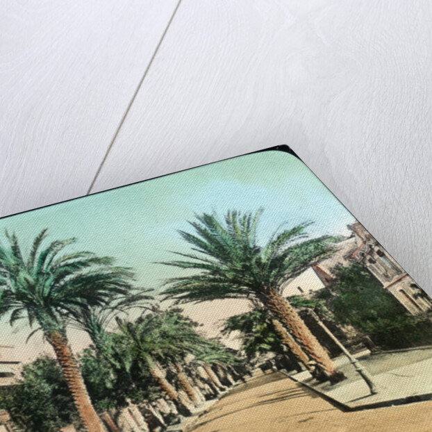 Avenue of Palms, Hyeres, France by Anonymous