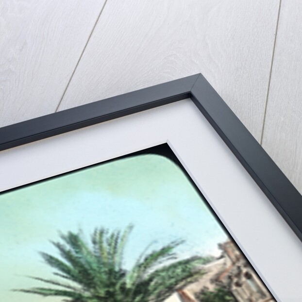 Avenue of Palms, Hyeres, France by Anonymous