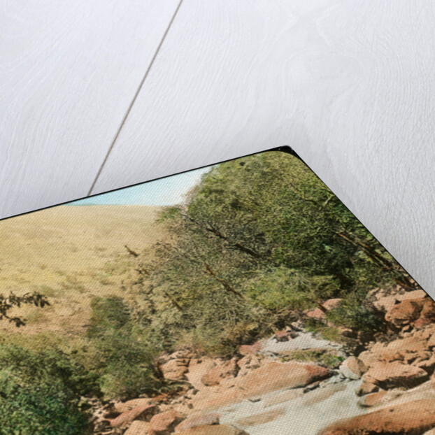 Sindh Valley, Kashmir, India by Anonymous