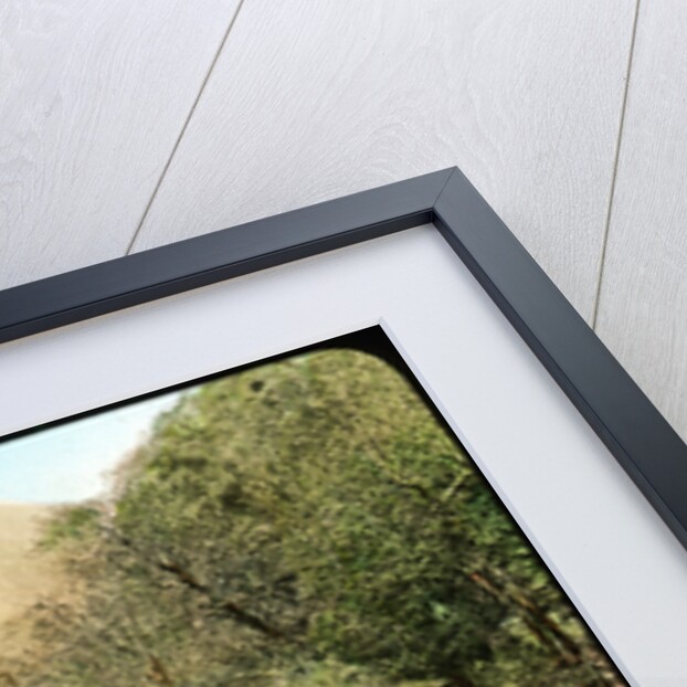 Sindh Valley, Kashmir, India by Anonymous