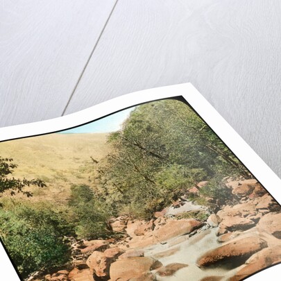 Sindh Valley, Kashmir, India by Anonymous