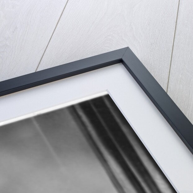 Jeanette Williams by Anonymous