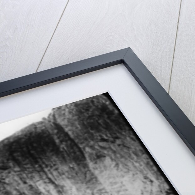 Yosemite Falls, Yosemite National Park, California, USA by Anonymous