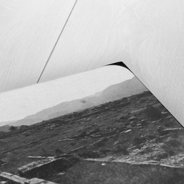 Olympia, Greece by Anonymous