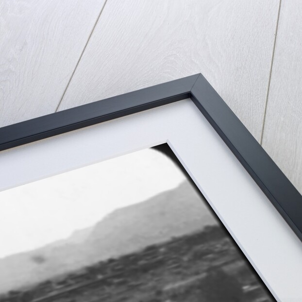 Olympia, Greece by Anonymous