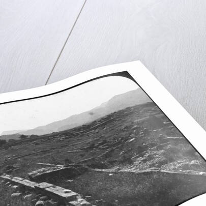 Olympia, Greece by Anonymous