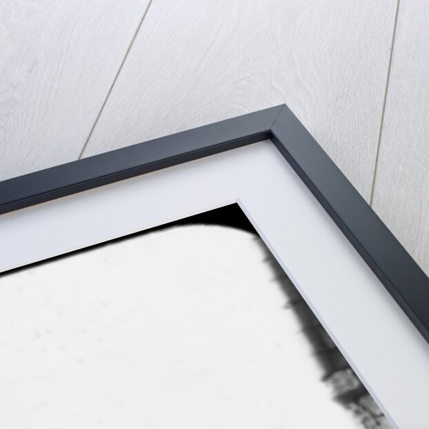 Minaret and ruins of Luxor Temple, Luxor, Egypt, c1890. Lantern slide by Newton & Co