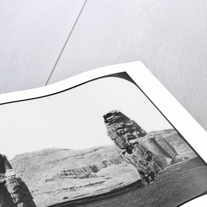 Colossi of Memnon, Luxor (Thebes), Egypt by Newton & Co