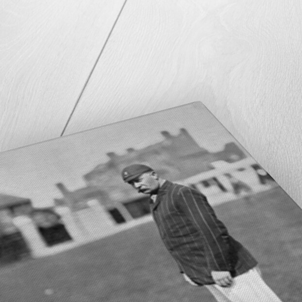 Mr HGP Owen, Essex cricketer by WA Rouch