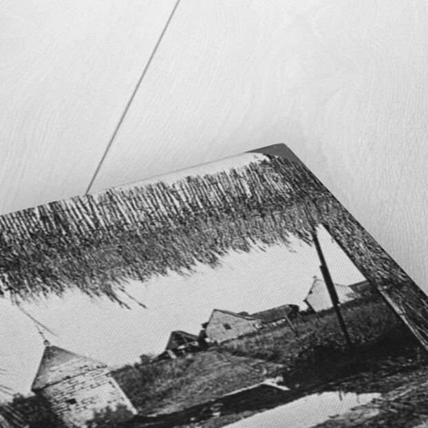 'Ingenious camouflage', World War I by Realistic Travels Publishers