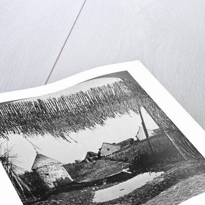 'Ingenious camouflage', World War I by Realistic Travels Publishers