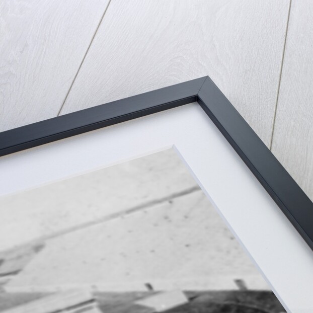 Stadium, Harvard University, Cambridge, Massachusetts, USA by Anonymous