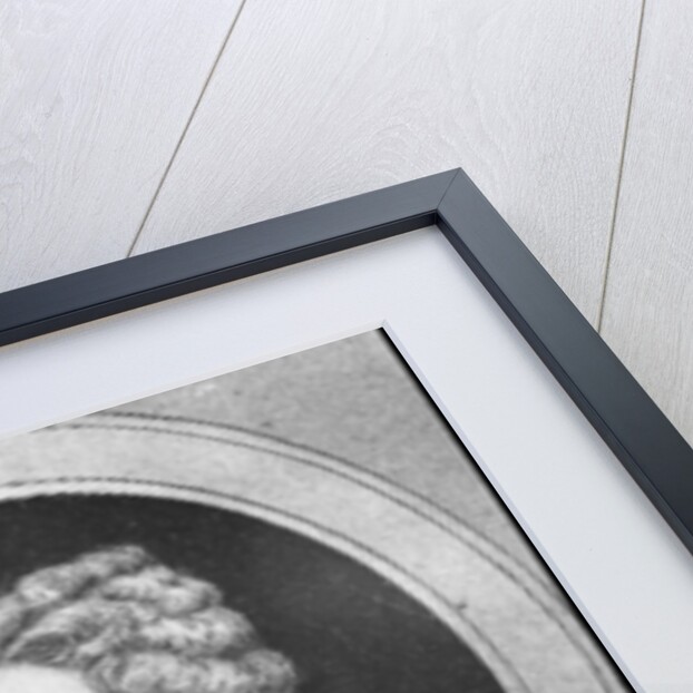 Robert Walpole, 18th century English statesman by Anonymous