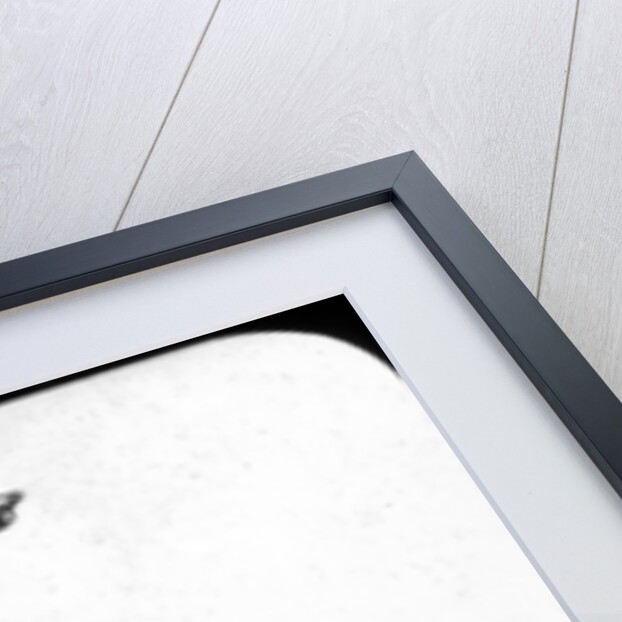 British sailor wielding a club by Newton & Co