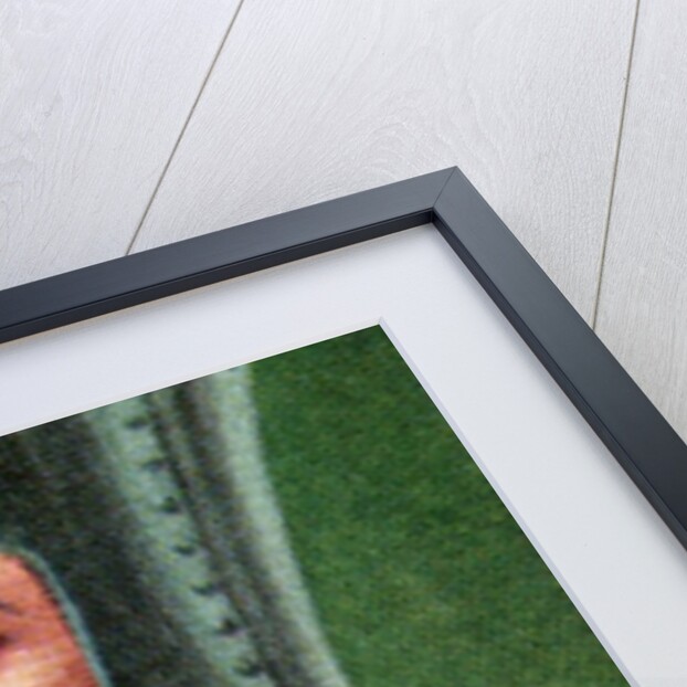 Simon de Montfort, taken from a series of cigarette cards by Anonymous