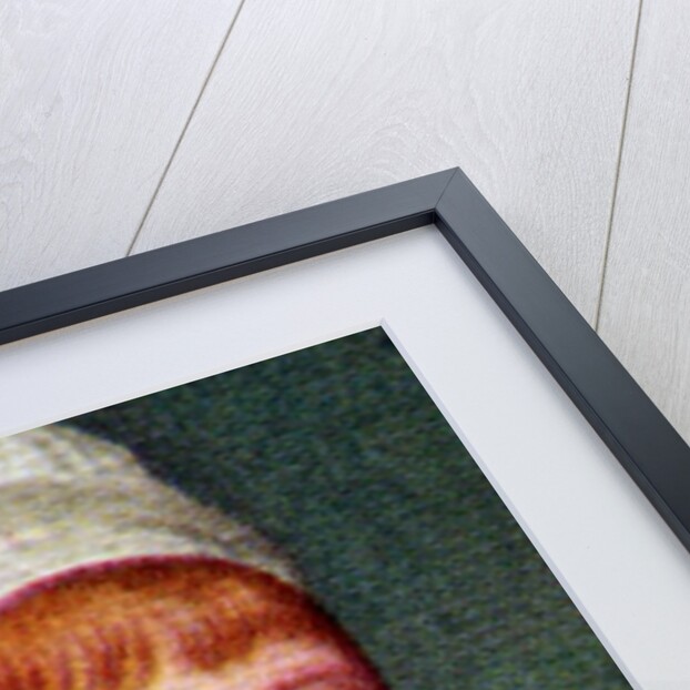 Elizabeth Fry, taken from a series of cigarette cards by Anonymous