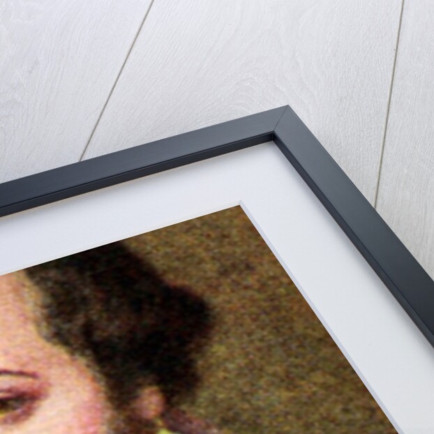 Sir Walter Raleigh, taken from a series of cigarette cards by Anonymous