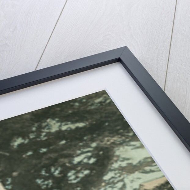 Grave of John Ruskin, English author, poet, artist and critic by Anonymous