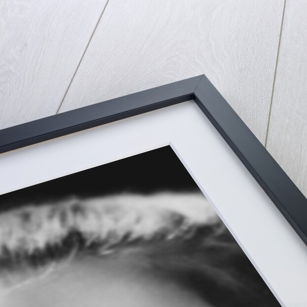 Greta Garbo by Anonymous