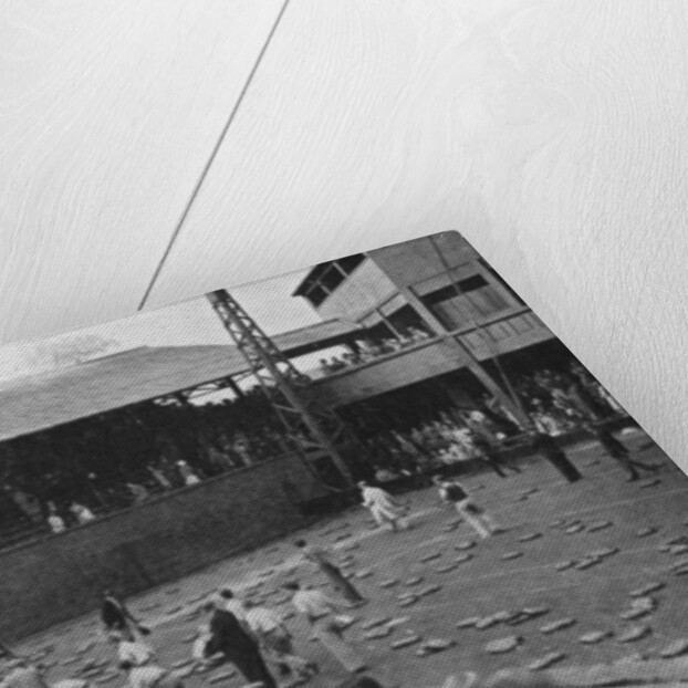 The cushion bombardment of No 1 Court, Davis Cup, Wimbledon by Planet News Ltd