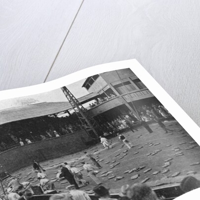 The cushion bombardment of No 1 Court, Davis Cup, Wimbledon by Planet News Ltd