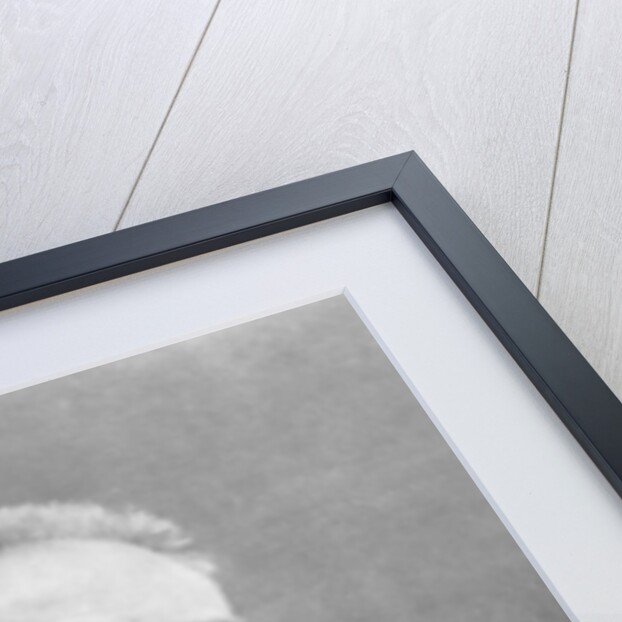 Nikolai Rimsky-Korsakov by Samour