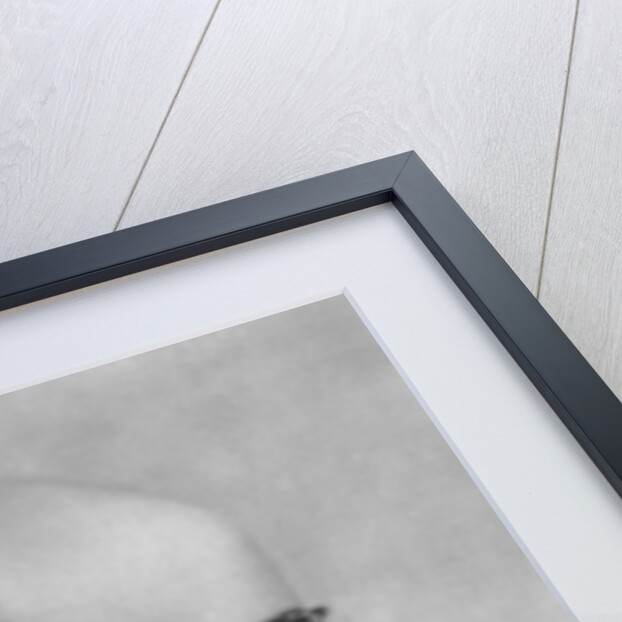 Antonín Leopold Dvorak by Harlinque