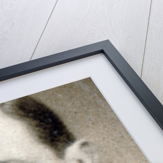 HRH The Duke of York by Bertram Park