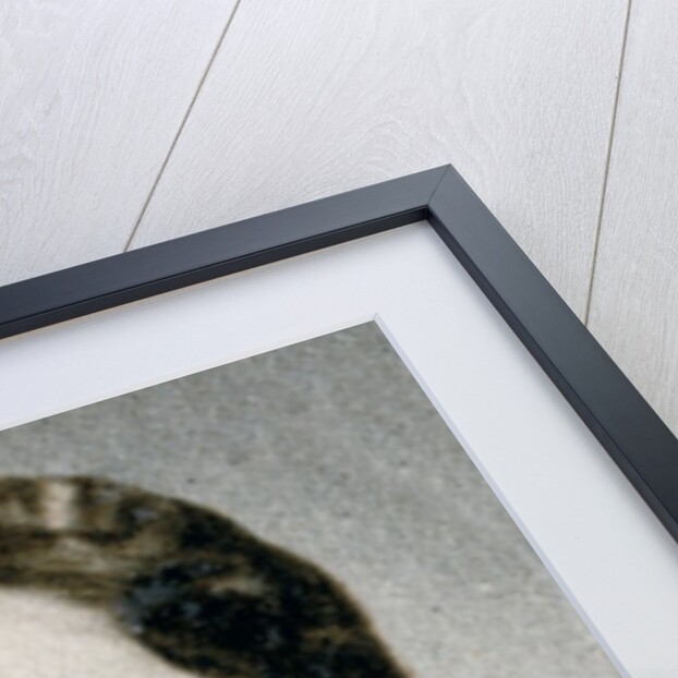 HRH The Duchess of York by Bertram Park