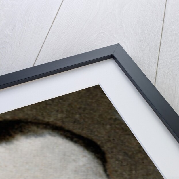 Sir John Lavery by Anonymous