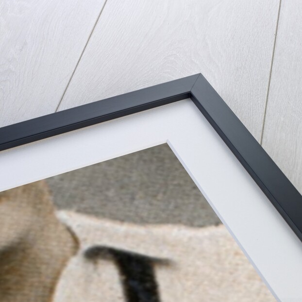 Fred Perry by Anonymous