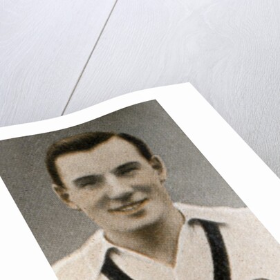 Fred Perry by Anonymous