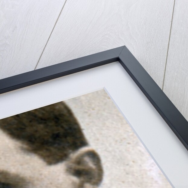 HA 'Bert' Barry by Anonymous