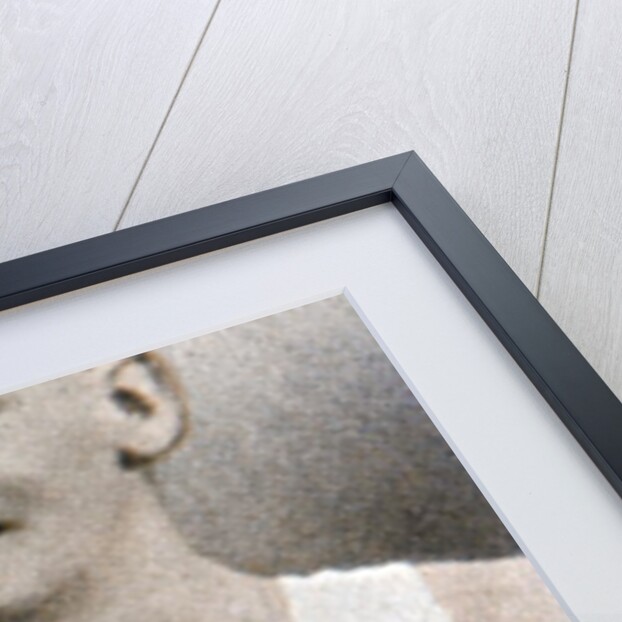 TW Green by Anonymous